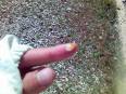 Ar� S�t�